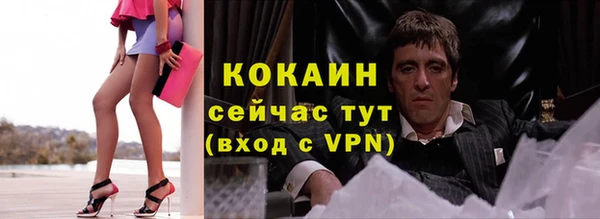 гидра Аркадак