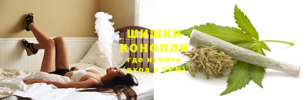 трава Алзамай