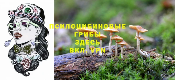 трава Алзамай
