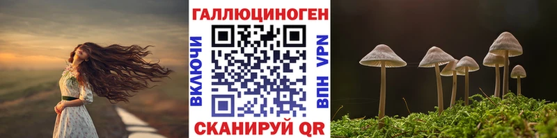 darknet официальный сайт  Мирный  Галлюциногенные грибы GOLDEN TEACHER 