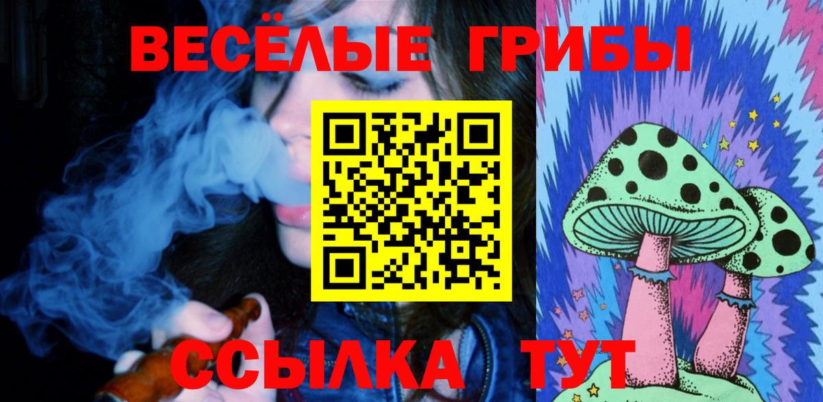 Галлюциногенные грибы Psilocybine cubensis  цена   Мирный  Вход с VPN 